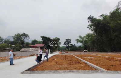 Cần bán đất nền Khu phố 1, Ngọc Lặc, Thanh Hóa, sẵn sổ